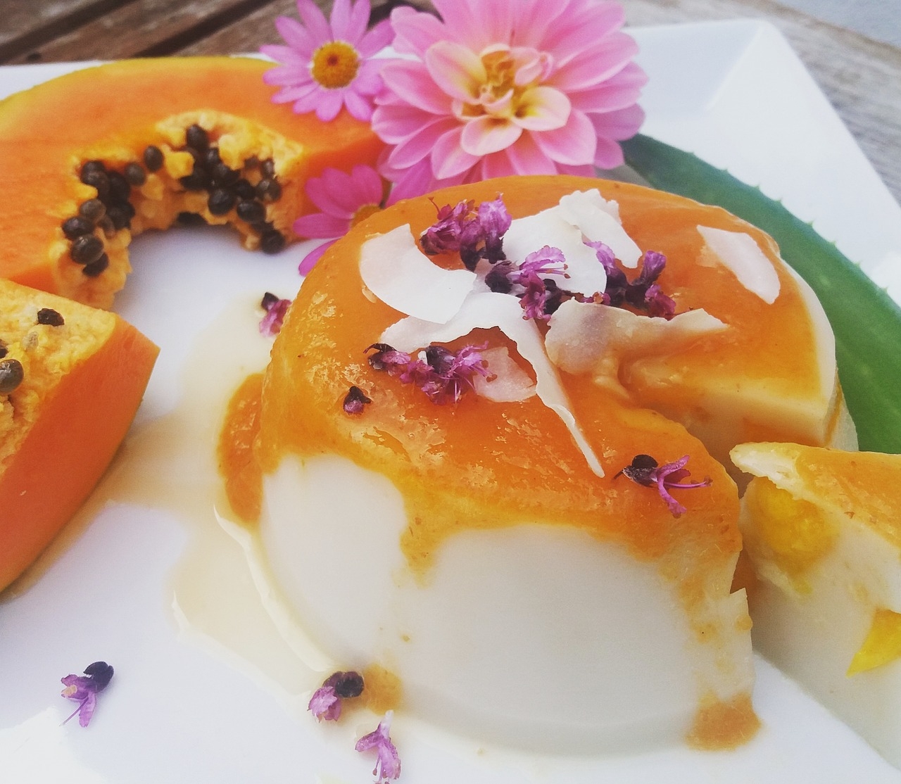 panna cotta news veggie