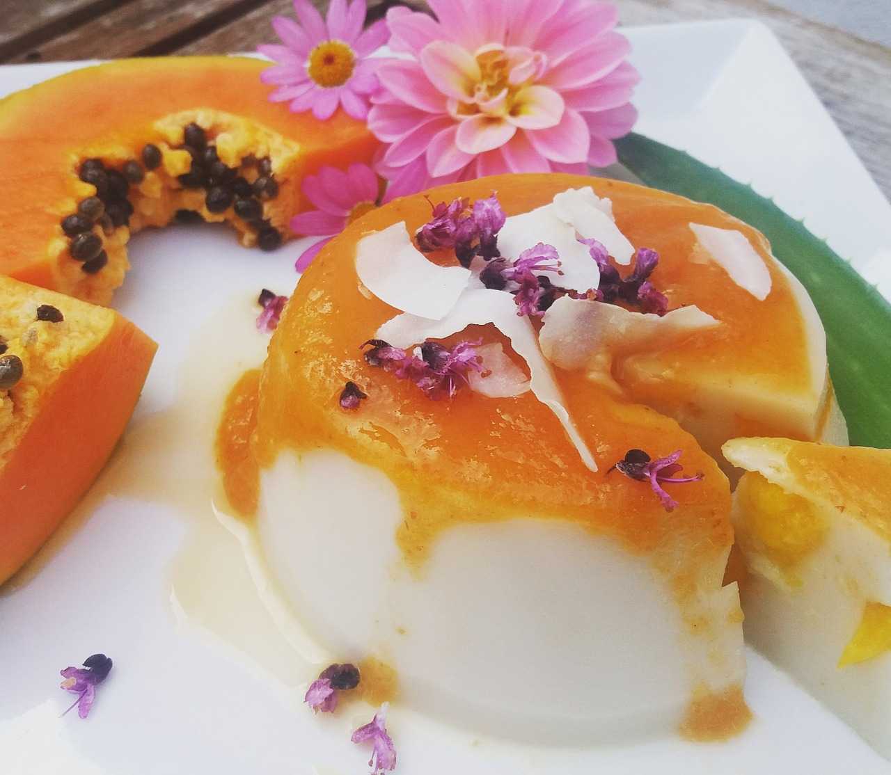 panna cotta news veggie